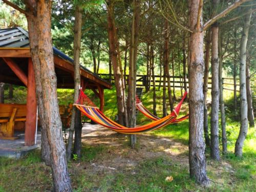 En have udenfor Domki całoroczne u Greściaków