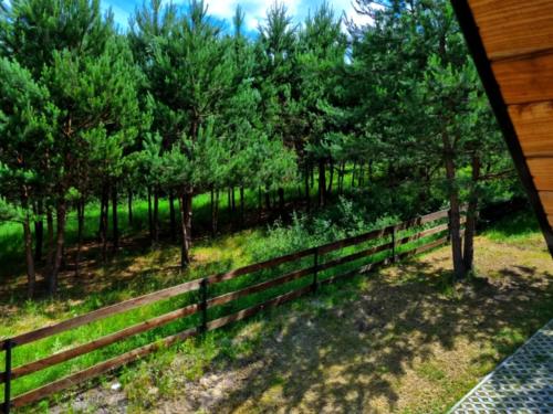 En have udenfor Domki całoroczne u Greściaków