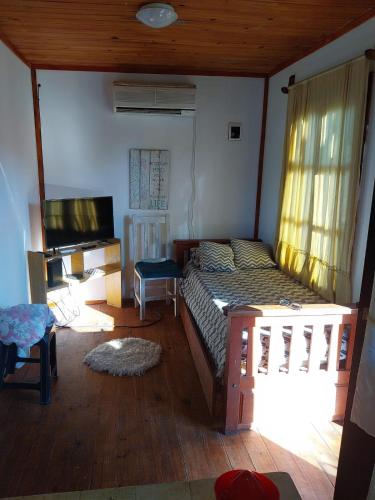 a bedroom with a bed and a television in it at Los abelos in Gualeguaychú