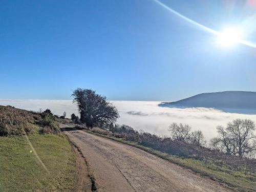 阿伯加文尼Trinity Cottage的山顶上的土路，云雾缭绕。