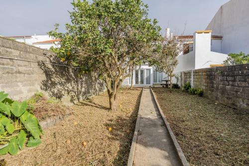 a small tree in a yard next to a wall at GuestReady - Casa do Visconde in Rosto de Cão