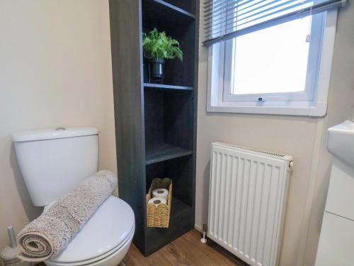 een badkamer met een toilet en een raam bij Rosefinch Cabin in Staintondale