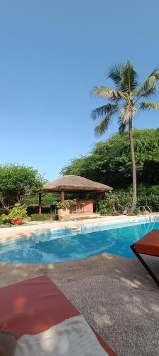una piscina con gazebo e palma di Villa Nianing a Nianing