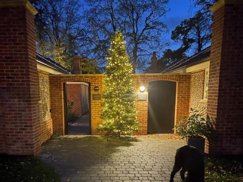 un albero di Natale con un cane davanti a una casa di Sycamore Barn a Holt