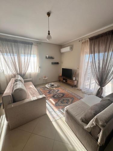 Zoe's Luxury Homes