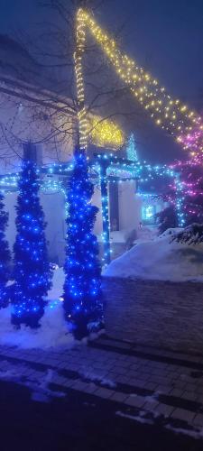 two christmas trees in front of a house with lights at Willa S&F in Maniowy