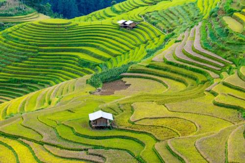 Φυσικό τοπίο κοντά σε αυτό το δωμάτιο σε οικογενειακή κατοικία