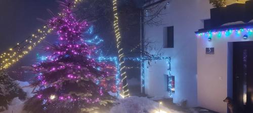 a christmas tree with christmas lights on a building at Willa S&F in Maniowy