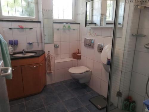 Un baño con inodoro, lavabo y ducha. en Ferienhaus Hebborn, en Bergisch Gladbach