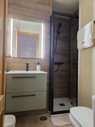 Ένα μπάνιο στο Hostal De la Rosa By Parque Warner Madrid