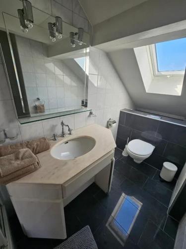a bathroom with a sink and a toilet and a mirror at T1 Gästehaus Wohlen AG in Wohlen