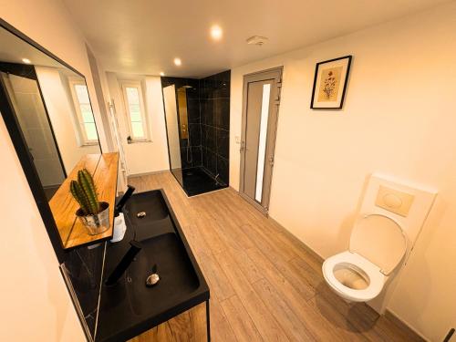 ein Badezimmer mit Toilette, Waschbecken und Dusche in der Unterkunft Charmante MAISON avec JARDIN & PARKING, tout équipé et confort - 10 min à pied de la mer in Criel-sur-Mer