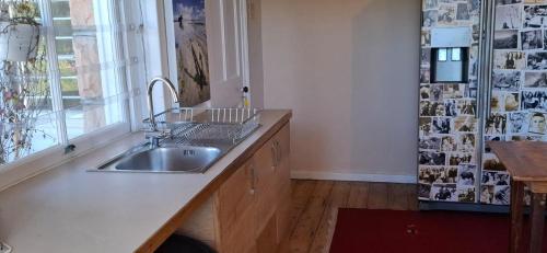 une cuisine avec un évier et une fenêtre dans l'établissement Kalk Bay Apartment, à Kalk Bay