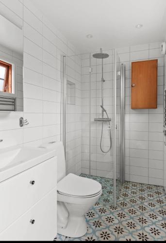a white bathroom with a toilet and a shower at Sjöutsikt Sövde in Sövde