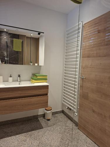 a bathroom with a sink and a shower with a mirror at Appartement Etschbacher in Haus im Ennstal