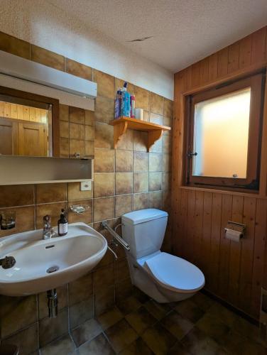 a bathroom with a toilet and a sink at Appartement-chalet à Verbier près des pistes in Verbier