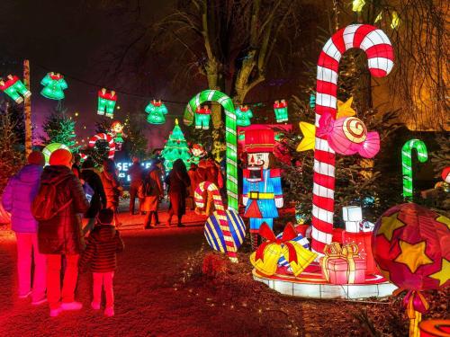 沃伊皮宜必思梅斯北欧酒店的一群站在圣诞灯前的人