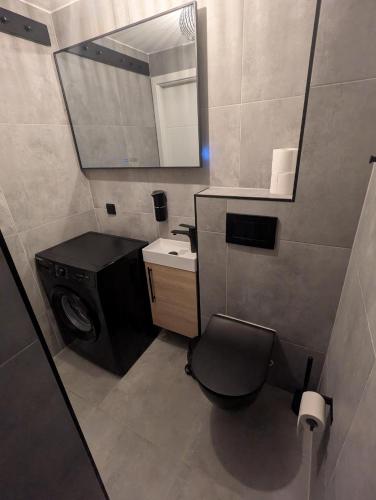 a bathroom with a toilet and a sink and a mirror at Wasserschloss Apt - von Taube Refugium für 1-2 Personen mit Terasse, Küche, Garten, Wifi, TV, Bar, Dusche, Waschmaschine, Parkplatz, versteckt gelegen in Neukirchen