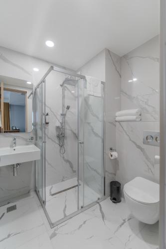 a bathroom with a shower and a toilet and a sink at Burki Castle & Cellar in Kvareli