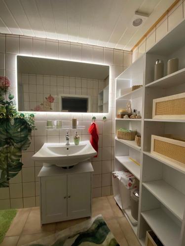 a bathroom with a sink and a mirror at Gartenblick in Bad Elster