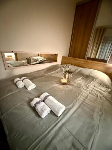 Ένα ή περισσότερα κρεβάτια σε δωμάτιο στο Lawendowy Ogród