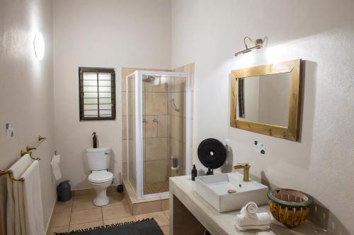 a bathroom with a shower and a sink and a toilet at Nzenga Lodge in Hoedspruit