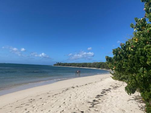 Φυσικό τοπίο κοντά σε αυτό το διαμέρισμα