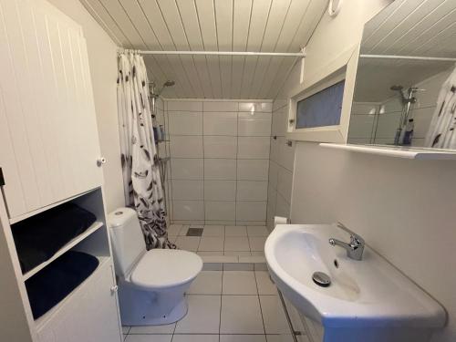 a small bathroom with a toilet and a sink at Unique Mongolian Yurt near lake together with guest house in Hjo