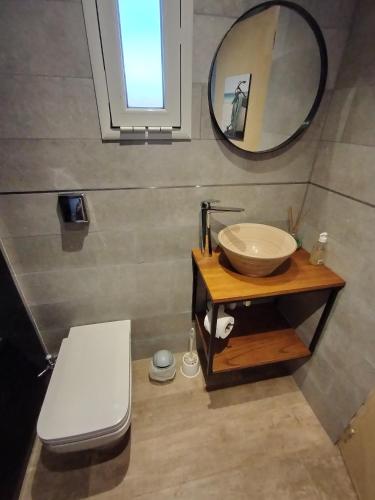 a bathroom with a sink and a mirror and a toilet at Departamento Los Sauces in Macachín