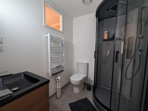 ein Badezimmer mit Dusche, Toilette und Waschbecken in der Unterkunft Le logis du lac in Braucourt