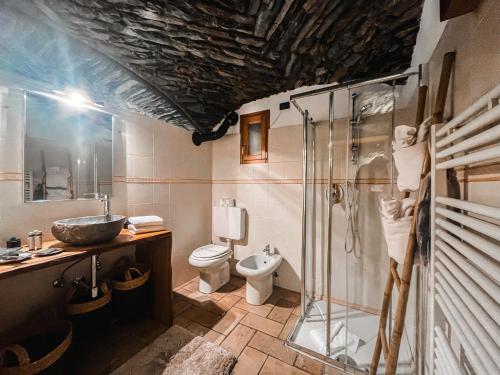 Un baño con ducha, inodoro y lavabo. en La Volta di Champoluc - Poluc Apartments Monolocale, en Champoluc