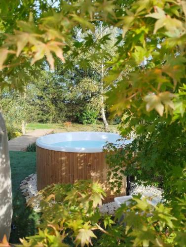 a hot tub in the middle of a yard with trees at Domaine des Pins L'île au Dôme in Grundviller