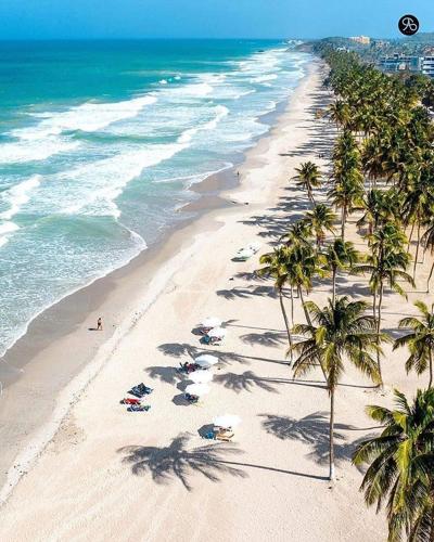 a group of people on a beach with palm trees at Apartamentos en la isla de Margarita in La Loma
