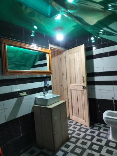 a bathroom with a sink and a toilet at Shiva Valley Riverside in Jibhi