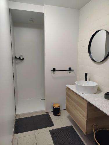 a bathroom with a sink and a mirror at De Drie Mussen in Diksmuide