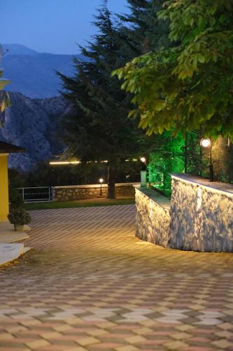 a park at night with a tree and street lights at Villa Amesia in Amasya