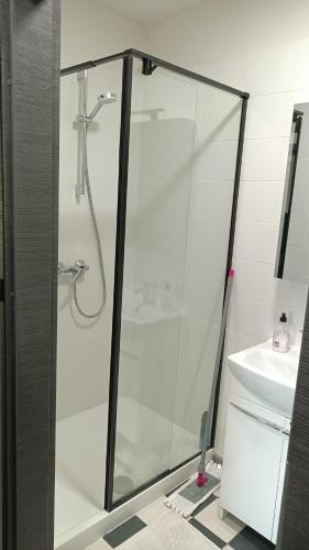 a shower with a glass door next to a sink at Apartamenty Rudzka in Rybnik