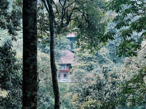 Φυσικό τοπίο κοντά σε αυτό το θέρετρο