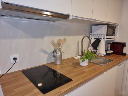 a kitchen with a sink and a counter top at Hikary in Lavra