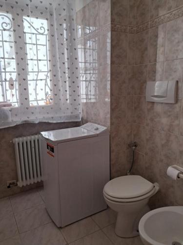 a bathroom with a toilet and a sink and a window at Casa della Nonna in Celledizzo