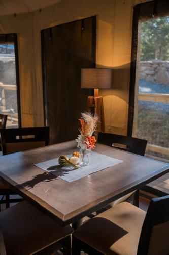 WYLDSTAY Smoky Mountains photo 100
