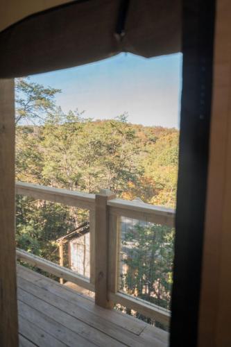 WYLDSTAY Smoky Mountains photo 104