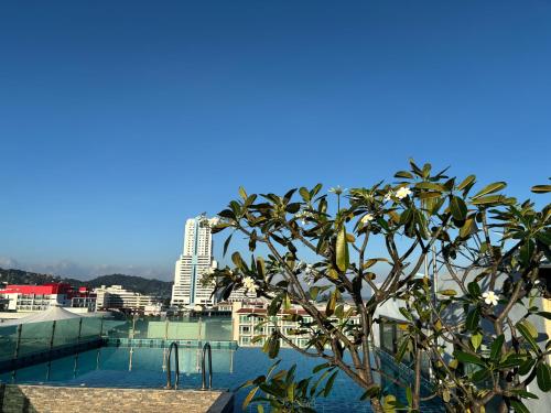 uma árvore em cima de um prédio ao lado de um prédio em Doze Bangla em Patong Beach