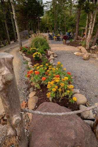 WYLDSTAY Smoky Mountains photo 106