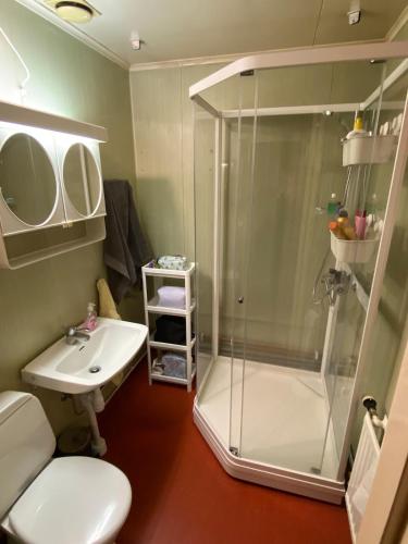 a bathroom with a shower and a toilet and a sink at Holiday home Hönstorp in Hagfors