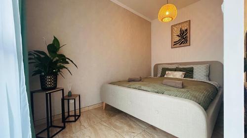 een slaapkamer met een bed en een potplant bij Apartament Słoneczny 16 in Opole