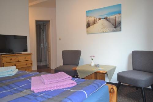 TV a/nebo společenská místnost v ubytování Pension Haß