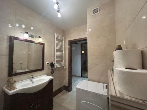 een badkamer met een wastafel, een toilet en een spiegel bij Apartament Słoneczny 16 in Opole