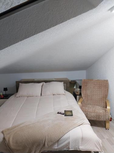 a bedroom with a large bed and a chair at Park Apartment in Kochani