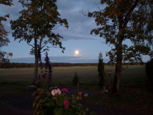 a view of a field at night with the moon between two trees at Skogis Bed & Breakfast in Katrineholm